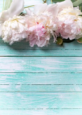 Ahşap üzerine beyaz peonies