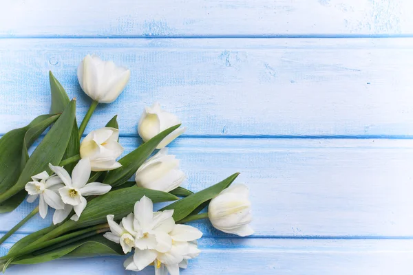 Čerstvý Narcis a tulipány — Stock fotografie