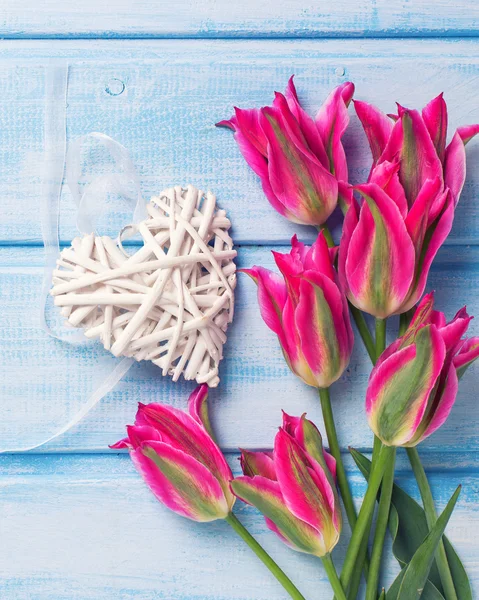 Vacker rosa tulpaner — Stockfoto