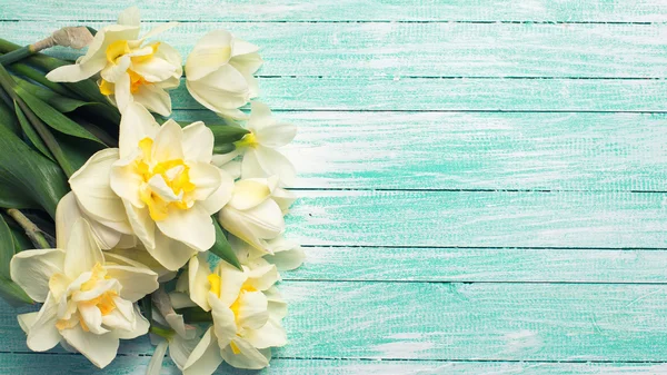 Narciso fresco sobre madera — Foto de Stock