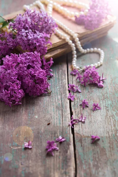 Elegante lila bloemen — Stockfoto