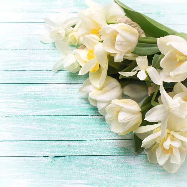 Färska narcisser och tulpaner — Stockfoto