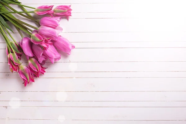 Tulipany wiosna różowy — Zdjęcie stockowe