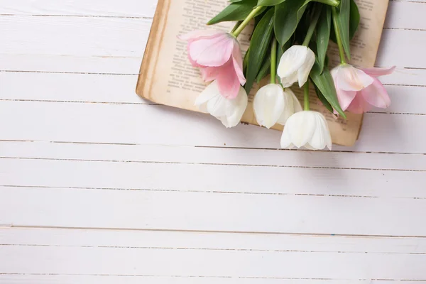 Flores de tulipán en libro vintage — Foto de Stock