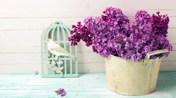 Lila bloemen in kom — Stockfoto