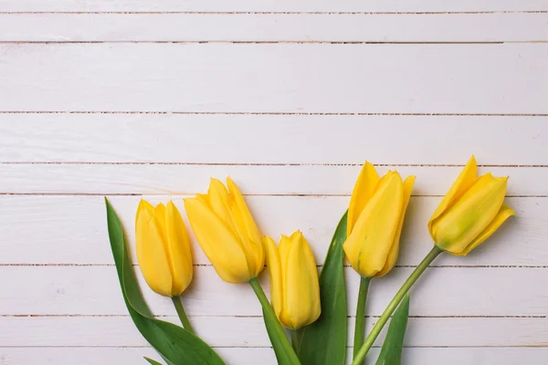 Zářivě žluté tulipány — Stock fotografie