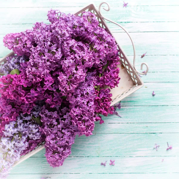 Flores de lilás na bandeja — Fotografia de Stock