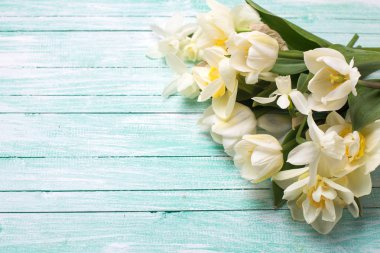 taze nergis ve laleler