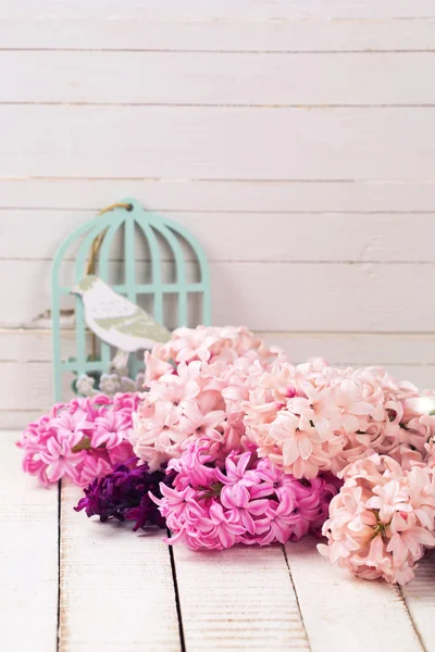 Jacinthes de fleurs fraîches — Photo