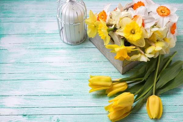 Yellow tulips and narcissus — Stock Photo, Image