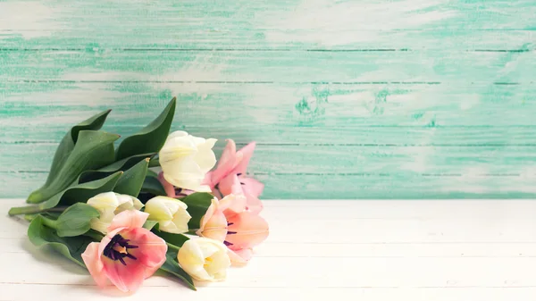 Vitt och rosa tulpaner blommor — Stockfoto