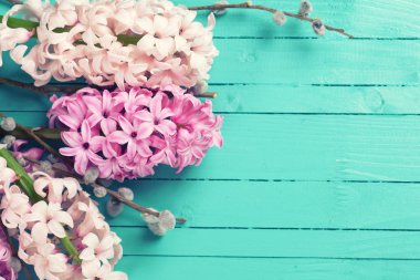 Hyacynths ve Söğüt dalları