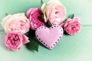 Allık gül yeşil ağaç üzerinde