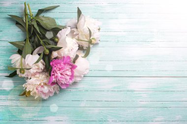 Beyaz ve pembe peonies çiçekler