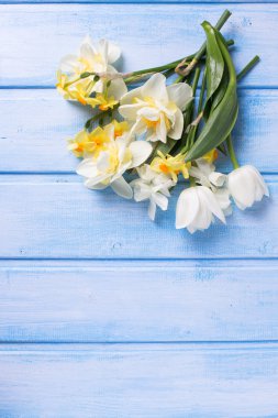 Nergis ve Lale çiçek