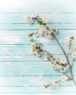 çiçekli ağaç dalı