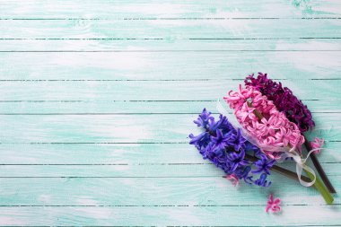 Taze çiçekler hyacynths 