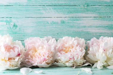 Ahşap üzerine Peonies çiçekler