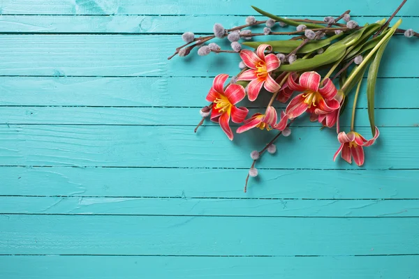 Frische Tulpen auf Holz — Stockfoto