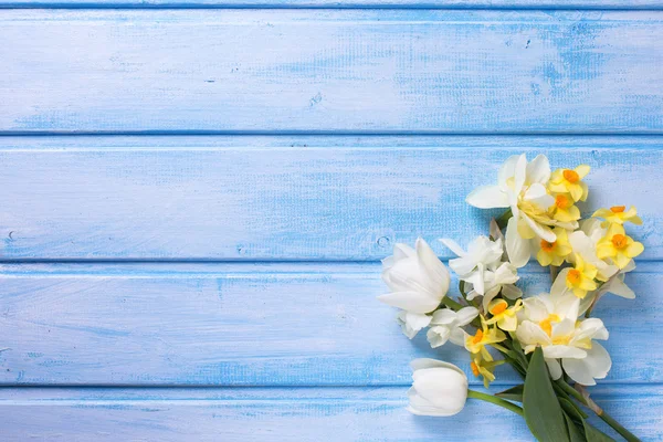 Narciso fresco y tulipanes —  Fotos de Stock