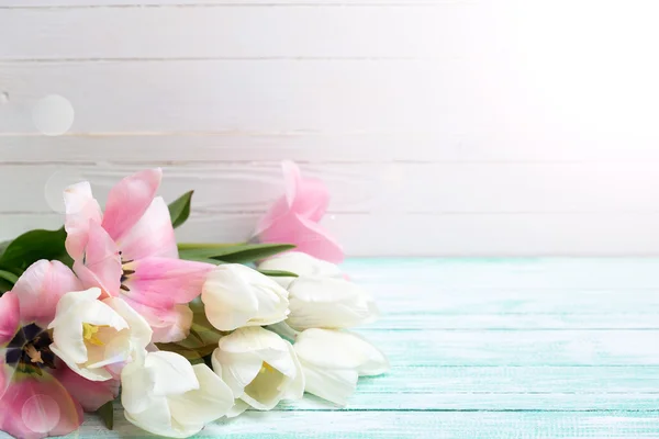 Flores blancas y rosas — Foto de Stock