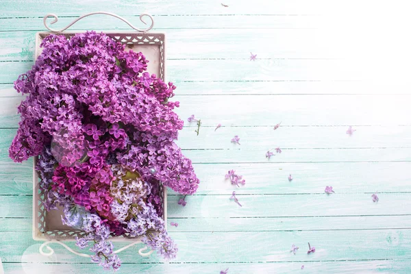 Flores de lilás na bandeja — Fotografia de Stock