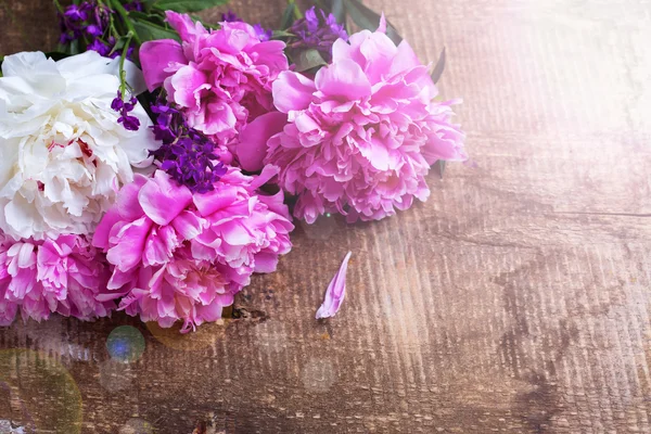 Beyaz ve pembe peonies — Stok fotoğraf