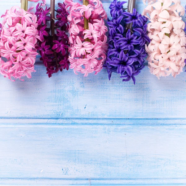 Fresh hyacinths background — Stock Photo, Image