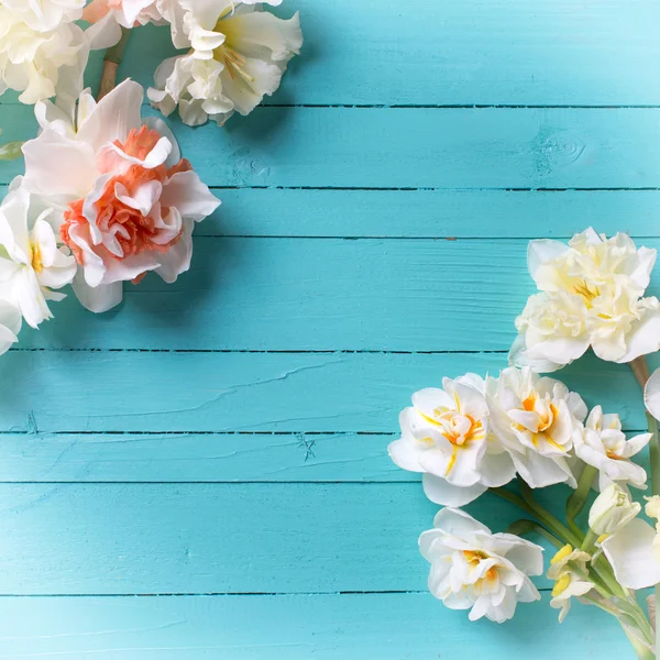 Frische Narzissen und Weidenblumen — Stockfoto