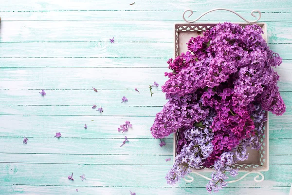 Flores de lilás na bandeja — Fotografia de Stock