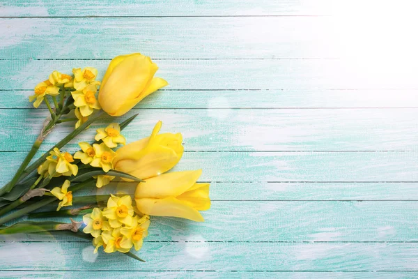 Påskliljor och tulpaner blommor — Stockfoto