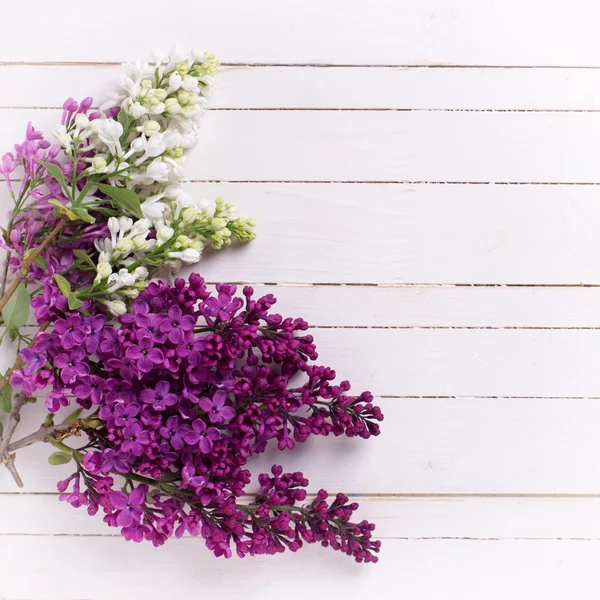 Lila bloemen op hout — Stockfoto