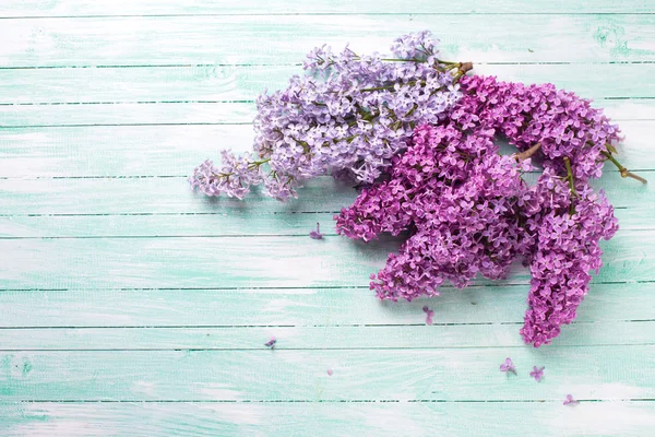 Lilac flowers on wood — Stock Photo, Image