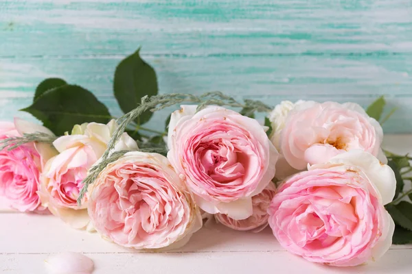 Sladké růžové růže — Stock fotografie
