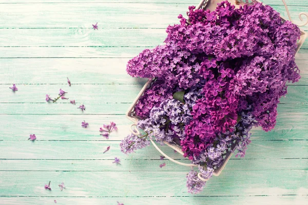 Flores de lila sobre madera —  Fotos de Stock