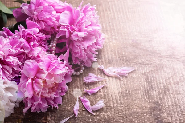 Flores de peônias rosa esplêndidas — Fotografia de Stock