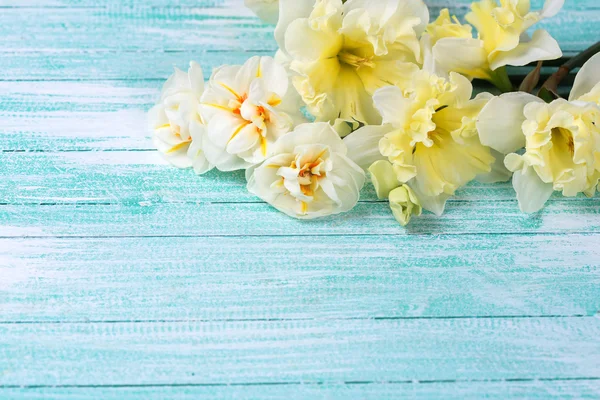 Fresh daffodils on wood — Stock Photo, Image