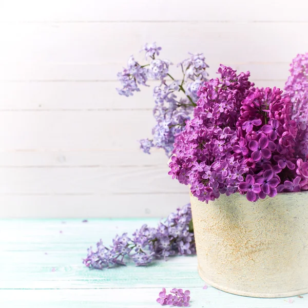 Fliederblüten in Schale — Stockfoto