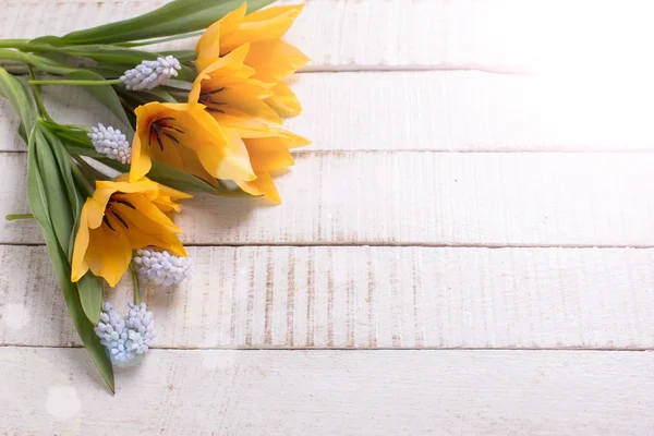 Fondo con flores frescas — Foto de Stock