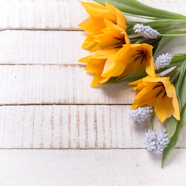 Hintergrund mit frischen Blumen — Stockfoto