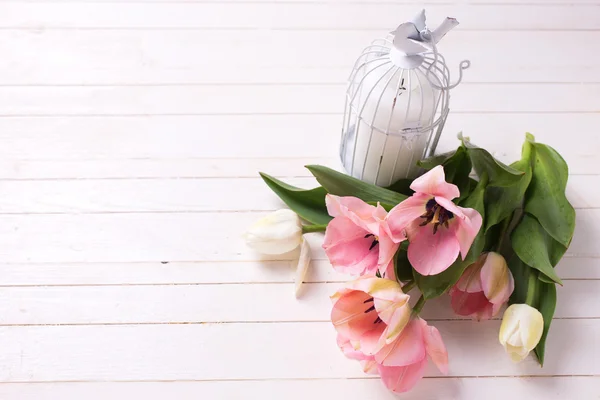 Frische Tulpenblüten — Stockfoto