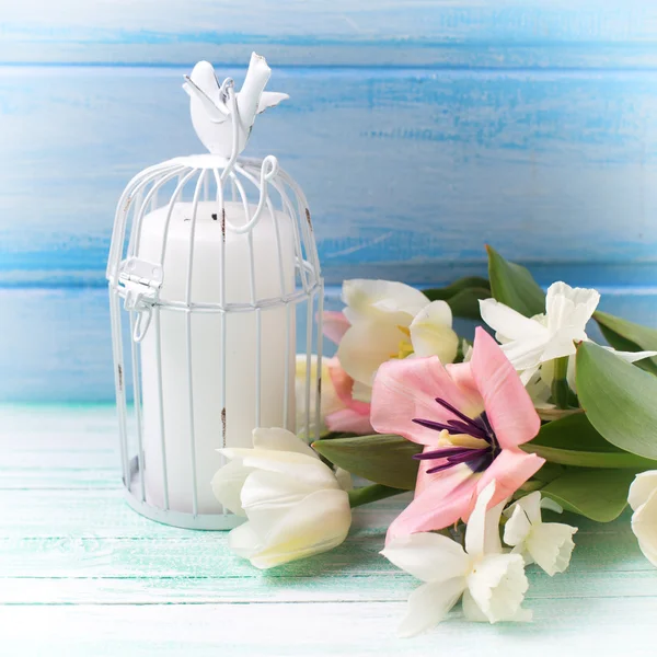 Narciso, tulipanes y velas — Foto de Stock