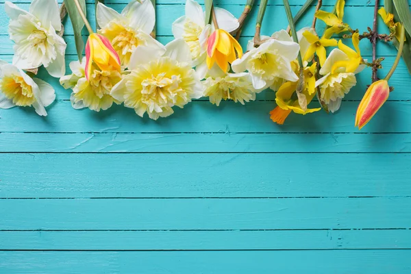 Border from fresh  spring flowers — Stock Photo, Image