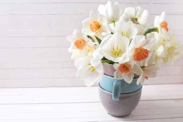 Čerstvý Narcis v váza — Stock fotografie