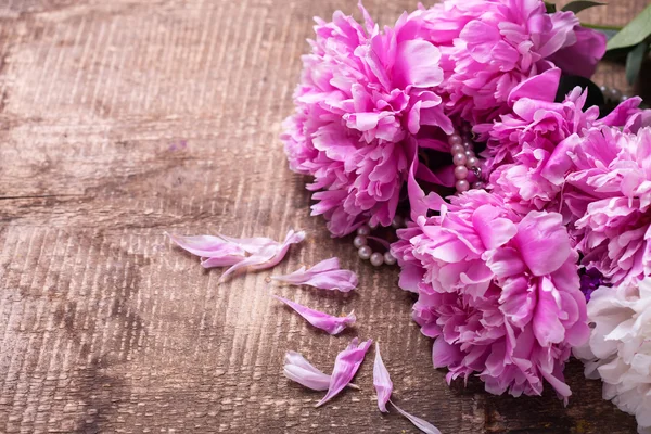 Nádherné růžové pivoňky květiny — Stock fotografie