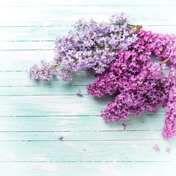 Postcard with  lilac flowers — Stock Photo, Image