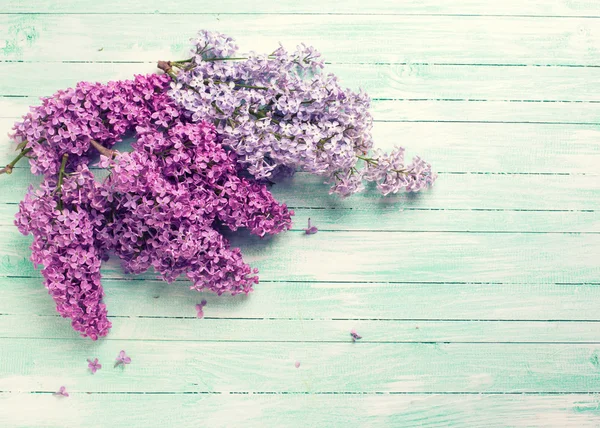 Carte postale avec fleurs lilas — Photo