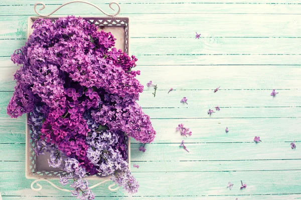 Fliederblumen auf Tablett — Stockfoto