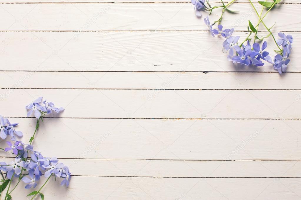 background with  blue flowers