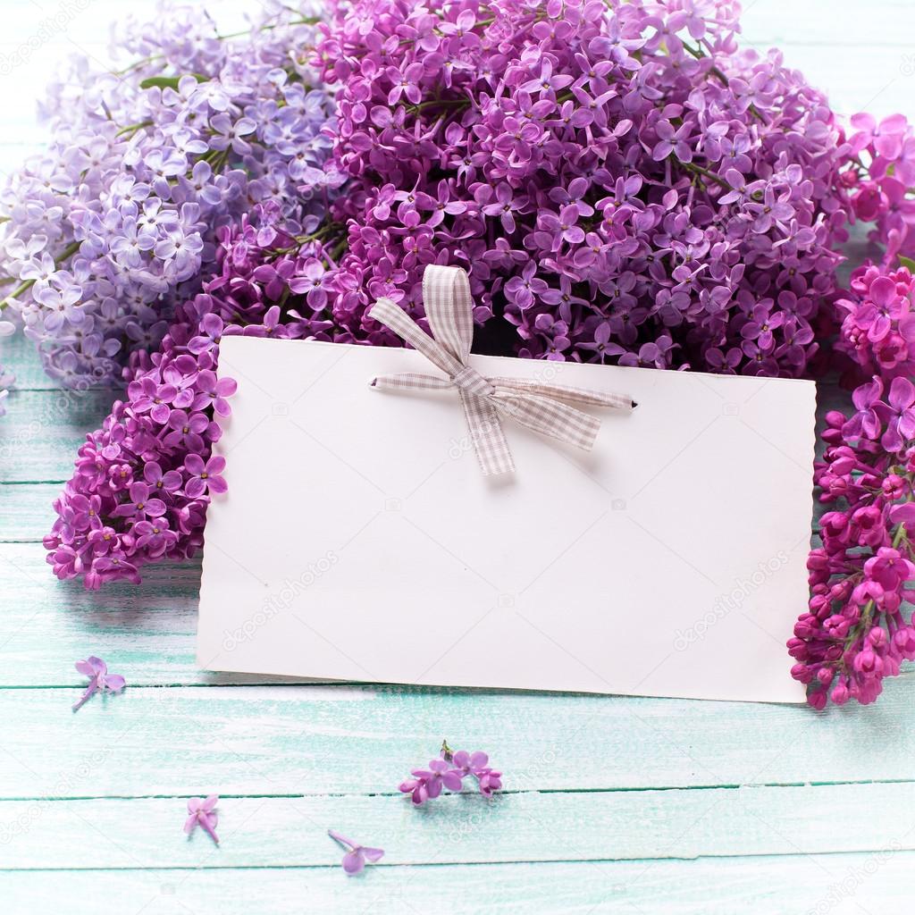 Lilac flowers  and  empty tag
